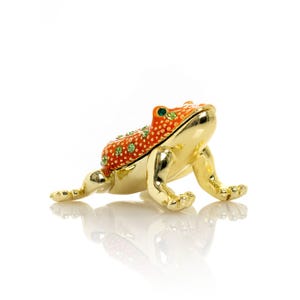 Golden Red Frog