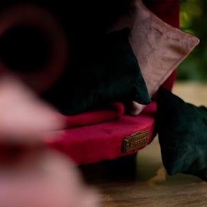 May include: A close-up of a red velvet cushion with a gold-coloured metal plate that reads "Biscuit". The cushion is surrounded by black and pink velvet pillows. The scene is set indoors.