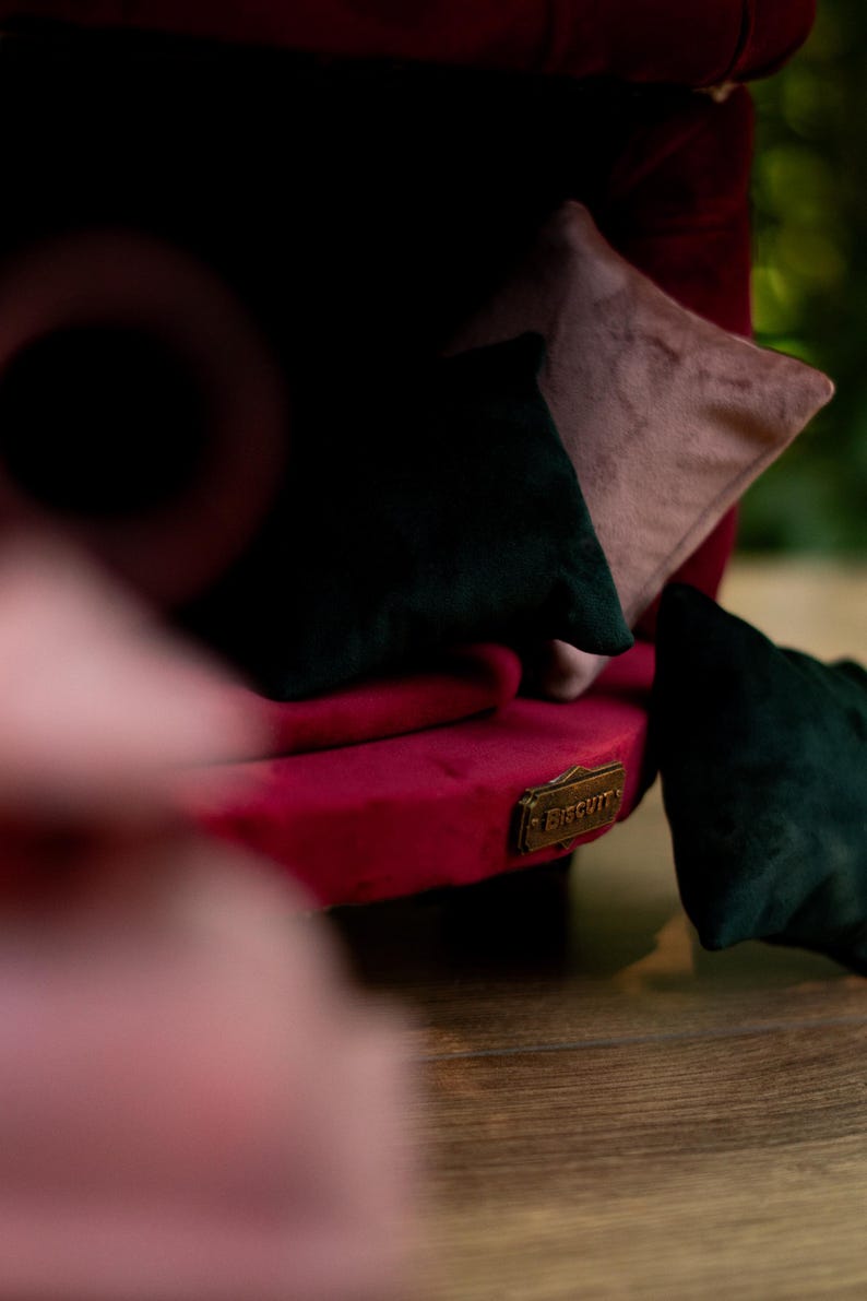 May include: A close-up of a red velvet cushion with a gold-coloured metal plate that reads "Biscuit". The cushion is surrounded by black and pink velvet pillows. The scene is set indoors.
