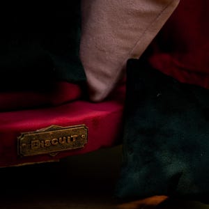 May include: Close-up of a plush dog bed with a red base and dark green and pink cushions. A small, rectangular, bronze-coloured metal tag with the word "Biscuit" is attached to the bed.