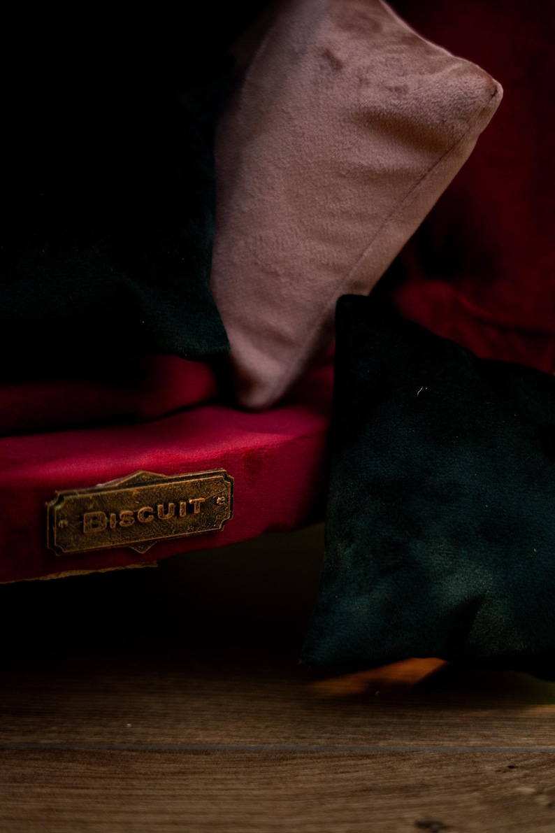 May include: Close-up of a plush dog bed with a red base and dark green and pink cushions. A small, rectangular, bronze-coloured metal tag with the word "Biscuit" is attached to the bed.