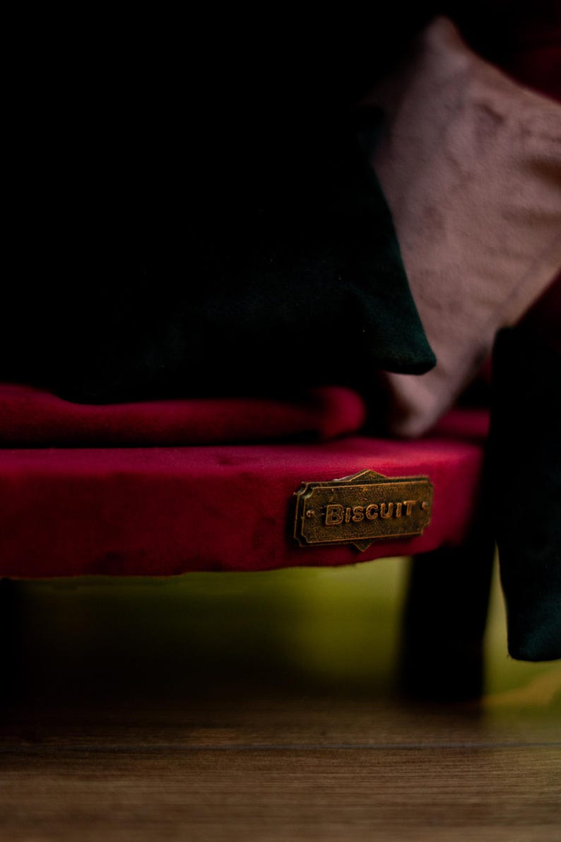 May include: A close-up of a red velvet bench with a brass plate that reads "Biscuit". Dark green and pink cushions are on the bench. The bench has dark legs and is set against a dark background.
