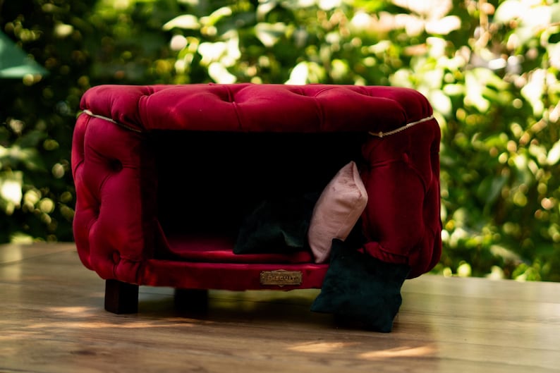 May include: A plush, deep red velvet pet bed with a buttoned design. The bed is rectangular with a dark interior and small wooden legs. Includes a pink and green cushion for comfort.