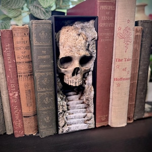 Gothic Book Nook Skull Cave, Bookshelf Insert Unpainted