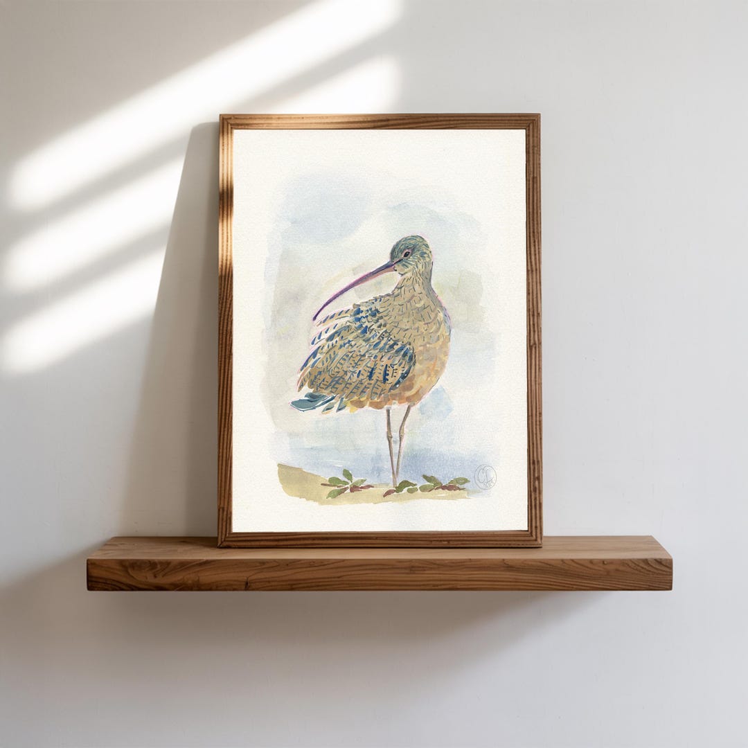 Seabird Wall Art, Coastal Bird Art Print, Beach Themed Nursery Decor ...