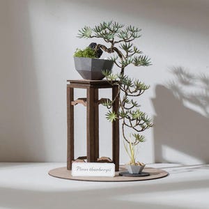 Può includere: Un bonsai in miniatura con fogliame verde e un tronco contorto in un vaso grigio geometrico. Il bonsai è esposto su un supporto in legno scuro con un piccolo vaso abbinato alla base. Un'etichetta recita "Pinus thunbergii."