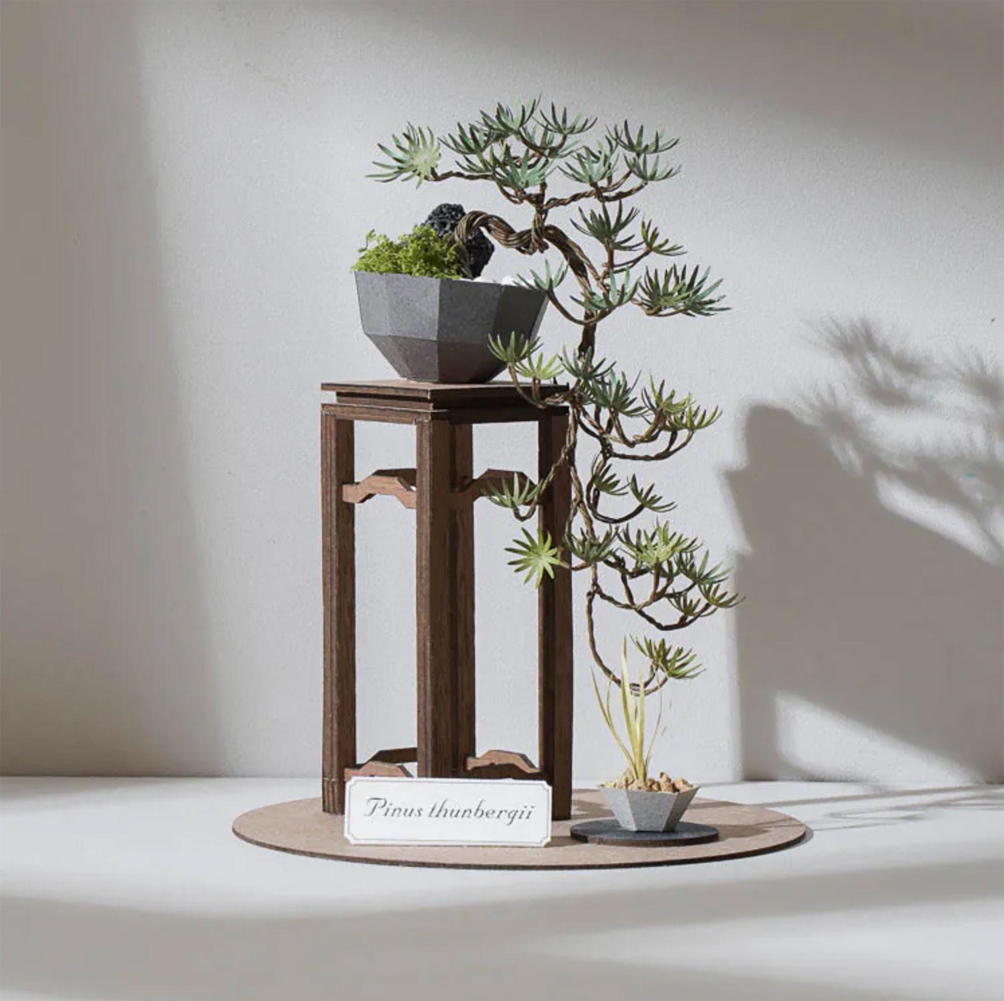 Scala 1/6 Miniatura per Casa Delle Bambole, Decorazione Domestica per
