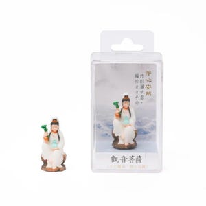 Può includere: Una piccola statuina bianca di Guanyin seduta, che tiene un vaso e un ramo verde, è esposta in una custodia di plastica trasparente. La custodia ha testo cinese e una parte superiore bianca. Una seconda statuina è a sinistra.