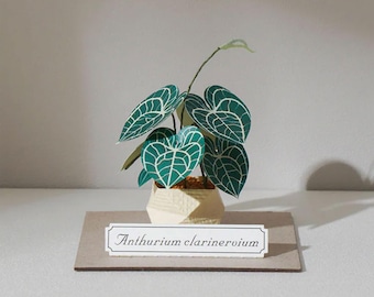 Miniatur Anthurium Clarinervium Papier Bastelbogen: DIY Papier Zimmerpflanze für botanische Kunst Liebhaber und handgemachtes Wohndekor
