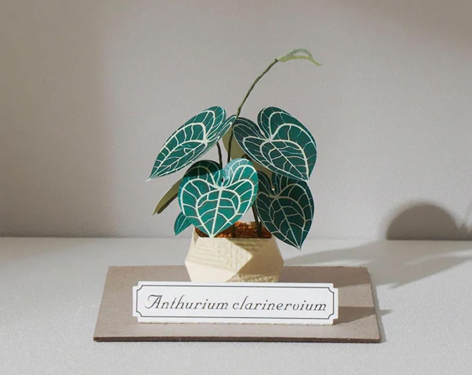 Miniature Anthurium Clarinervium Paper Craft Kit: DIY Paper Houseplant for Botanical Art Lovers and Handmade Home Decor