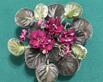 Leaf Cuttings Cajun's Mama Ruby African Violet –  Standard Red Double Flowers Houseplant Propagation