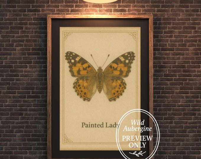 Painted Lady Butterfly Print | Vintage Natural History Wall Art | Antique Insect Wall Illustration | Digital Download | Wild Aubergine