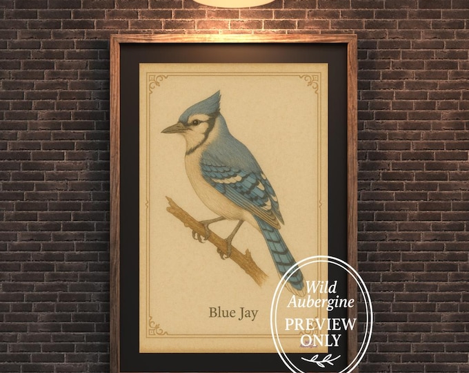 Blue Jay Vintage Bird Print | Rustic Wildlife Wall Art | Digital Download | Wild Aubergine