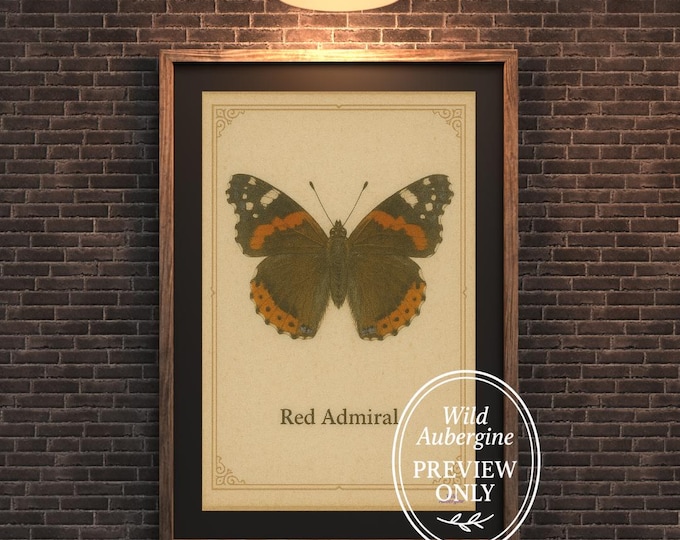 Red Admiral Butterfly Print | Vintage Insect Illustration | Antique Natural History Wall Art | Digital Download | Wild Aubergine