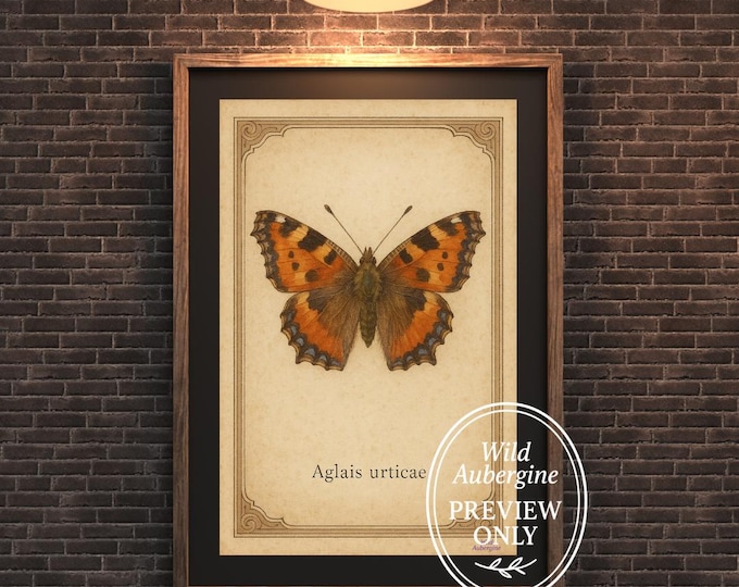 Vintage Butterfly Print | Aglais Urticae Botanical Illustration | Antique Insect Wall Art | Digital Download | Wild Aubergine