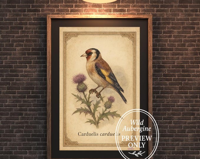European Goldfinch Vintage Bird Print | Carduelis Wall Art | Digital Download | Wild Aubergine