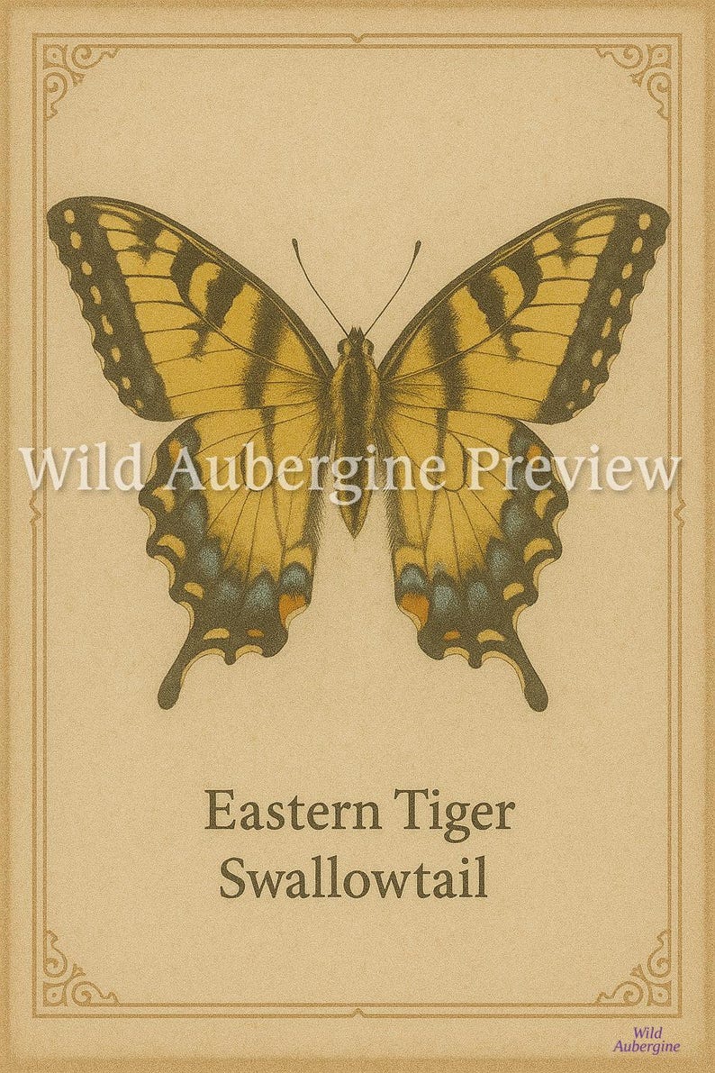 Eastern Tiger Swallowtail Butterfly Print: Vintage Natural History Wall ...