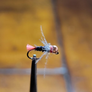 Puede incluir: Primer plano de una mosca de pesca con cuerpo negro, cola roja y cabeza color cobre. La mosca tiene alas delicadas y plumosas y está unida a un anzuelo negro. El fondo es un amarillo cálido borroso.