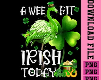 Un poquito irlandés hoy PNG. Duende flamenco para el Día de San Patricio. Cita irlandesa divertida. Descarga de diseño.