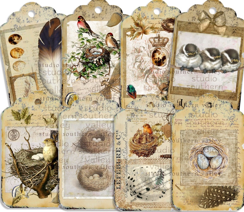 Bird Journal Vintage Nature Collage, Feathers, French Script, Nest, Bird, Label, Journaling, Scrapbooking, Printable Paper, Instant Download image 8