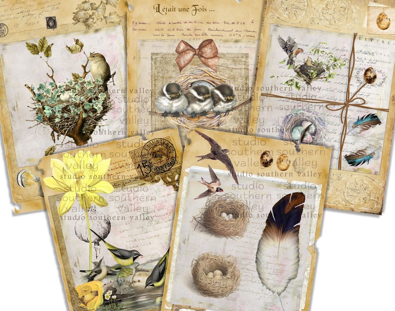 Bird Journal Vintage Nature Collage, Feathers, French Script, Nest, Bird, Label, Journaling, Scrapbooking, Printable Paper, Instant Download image 1