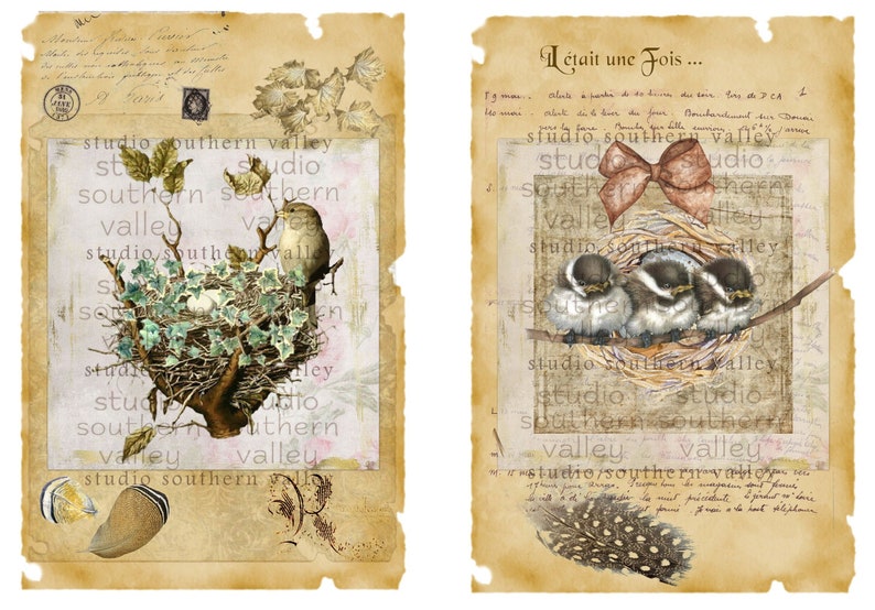 Bird Journal Vintage Nature Collage, Feathers, French Script, Nest, Bird, Label, Journaling, Scrapbooking, Printable Paper, Instant Download image 3