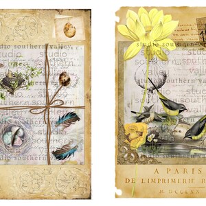 Bird Journal Vintage Nature Collage, Feathers, French Script, Nest, Bird, Label, Journaling, Scrapbooking, Printable Paper, Instant Download image 4