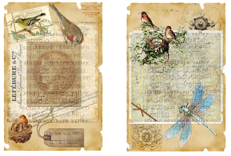 Bird Journal Vintage Nature Collage, Feathers, French Script, Nest, Bird, Label, Journaling, Scrapbooking, Printable Paper, Instant Download image 6