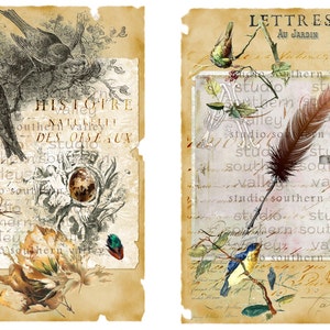 Bird Journal Vintage Nature Collage, Feathers, French Script, Nest, Bird, Label, Journaling, Scrapbooking, Printable Paper, Instant Download image 7