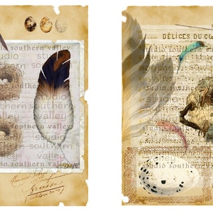 Bird Journal Vintage Nature Collage, Feathers, French Script, Nest, Bird, Label, Journaling, Scrapbooking, Printable Paper, Instant Download image 5