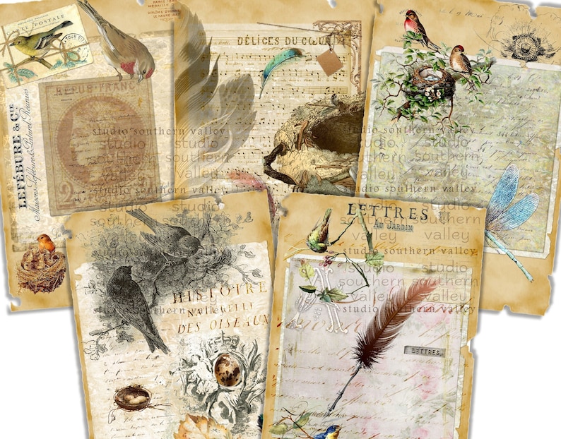 Bird Journal Vintage Nature Collage, Feathers, French Script, Nest, Bird, Label, Journaling, Scrapbooking, Printable Paper, Instant Download image 2