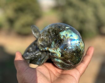 Calavera de labradorita tallada con serpiente, escultura de cristal tallada a mano