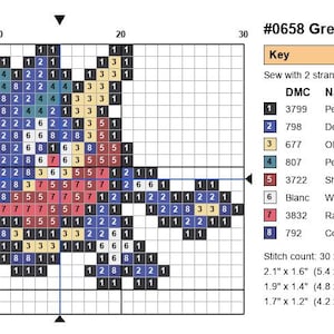 Greninja Pokemon cross stitch pattern chart with DMC color key