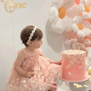 Arabella Daisy Pink Tulle Tutu Dress – 1st Birthday Cake Smash Outfit for Baby & Toddler Girls