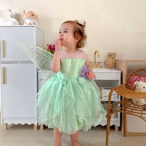 Tinker Bell Fairy Princess Dress with Fairy Wings – Green Birthday Party Costume for Girls