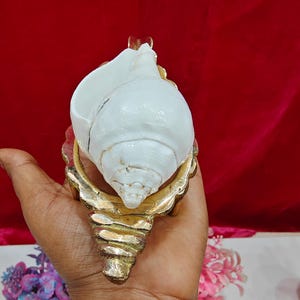 May include: A white conch shell resting on a decorative gold-toned metal stand. The shell features a smooth, curved surface with a spiral tip, while the metallic base has a textured, scalloped edge design that follows the shape of the shell.