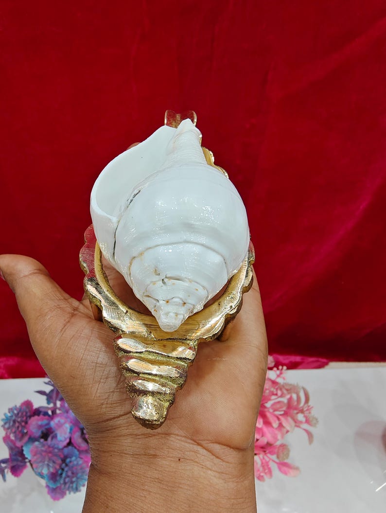 May include: A white conch shell resting on a decorative gold-toned metal stand. The shell features a smooth, curved surface with a spiral tip, while the metallic base has a textured, scalloped edge design that follows the shape of the shell.
