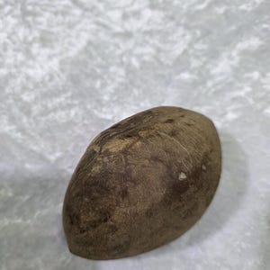 Puede incluir: Un objeto marrón de forma ovalada con una superficie texturizada. El objeto tiene un aspecto natural y terroso, con variaciones de color y patrón. El artículo es probablemente de madera o un material similar.