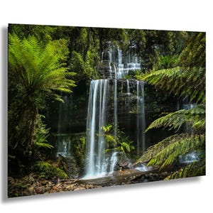 Könnte beinhalten: Ein lebendiges Foto eines Wasserfalls in einem üppigen, grünen Wald. Das Wasser stürzt über dunkle Felsen, umgeben von Farnen und anderen grünen Blättern. Die Szene wird von natürlichem Licht beleuchtet und schafft eine ruhige Landschaft.