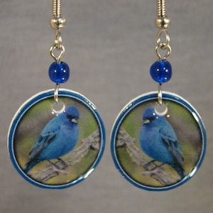 Indigo Bunting Dangle earrings - Blue Bird Earrings - I love birds accessories - Bird Watcher Gift Shop jewelry