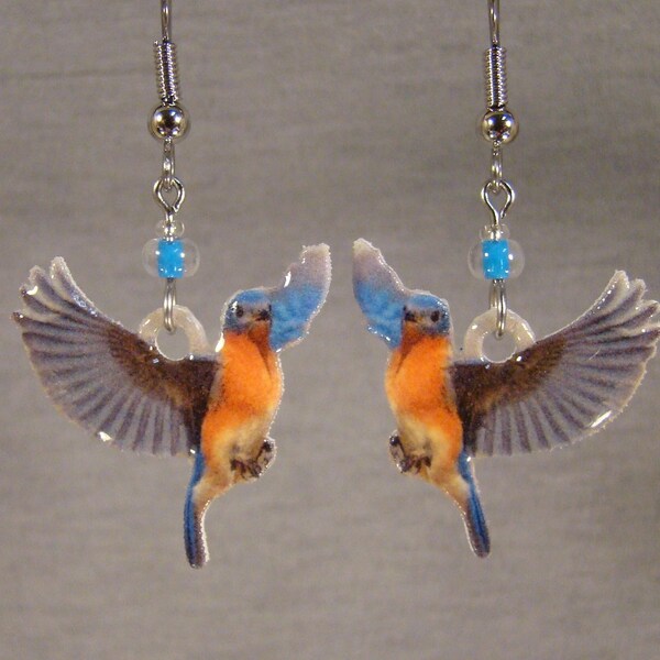 Eastern Bluebird Landing Dangle Earrings - Bird Gift Shop accessories - blue bird Accessories