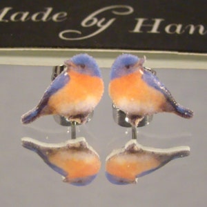 May include: A pair of stud earrings featuring a bluebird design. The earrings have a blue head and wings, an orange chest, and are attached to silver posts. The image is reflected in a mirrored surface.