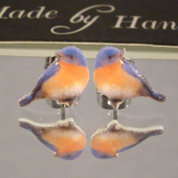 Eastern Bluebird Stud earrings - Midwest Birds Earrings - Spring store gift shop jewelry - Wildlife accessories - I love Blue Birds