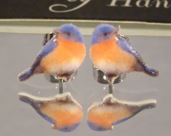 Puede incluir: Un par de pendientes de botón con un diseño de pájaro azul. Los pendientes tienen cabeza y alas azules, pecho naranja y están sujetos a postes plateados. La imagen se refleja en una superficie espejada.