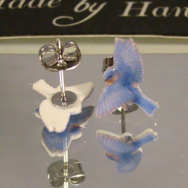 Flying Eastern Bluebird Stud earrings - Wildlife Gift Shop accessories - I love Blue Birds Jewelry