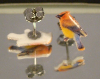 Cedar Waxwing Stud earrings - Yellow bird post earrings - Backyard Bird Jewelry - Wildlife gift shop accessories - birdwatcher gift shop