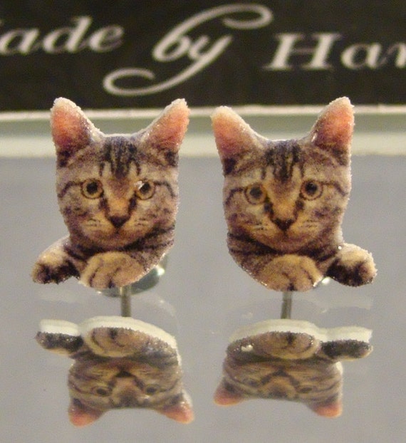 Peaking Kitty Stud Earrings American Shorthair Cat Etsy