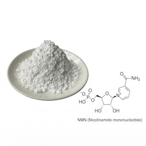 May include: A white powder is piled on a small, round, white plate. To the right is a chemical structure diagram labeled "NMN (Nicotinamide mononucleotide)". The image is set against a plain white background.
