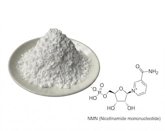 Puur NMN-poeder (nicotinamide-mononucleotide) | Hoge zuiverheid: 99%+ | NAD+-precursor voor cellulaire energie en vitaliteit