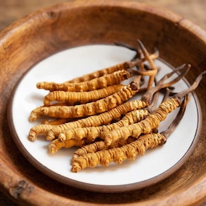 Può includere: Primo piano di diversi funghi cordyceps secchi, di colore marrone chiaro, disposti su un piatto bianco. Il piatto è posto all'interno di una ciotola di legno. I funghi hanno una forma allungata e strutturata, con una base più scura.